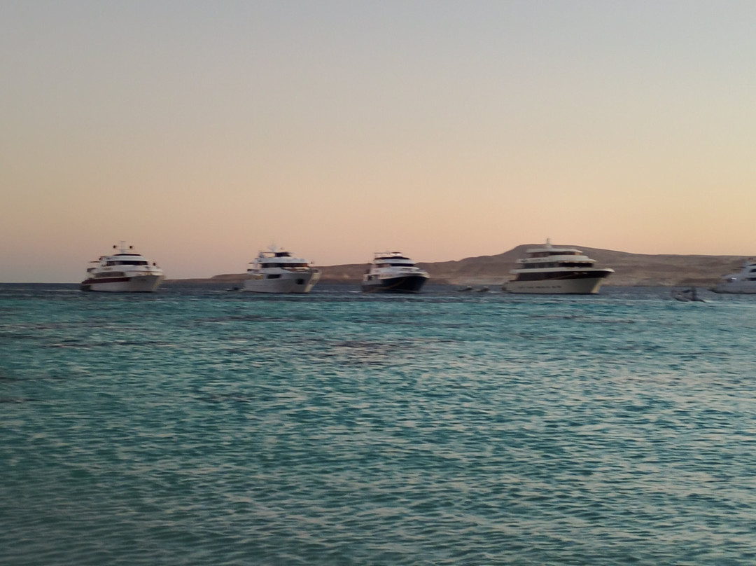 VIP Diving College-沙姆沙伊赫必去景点