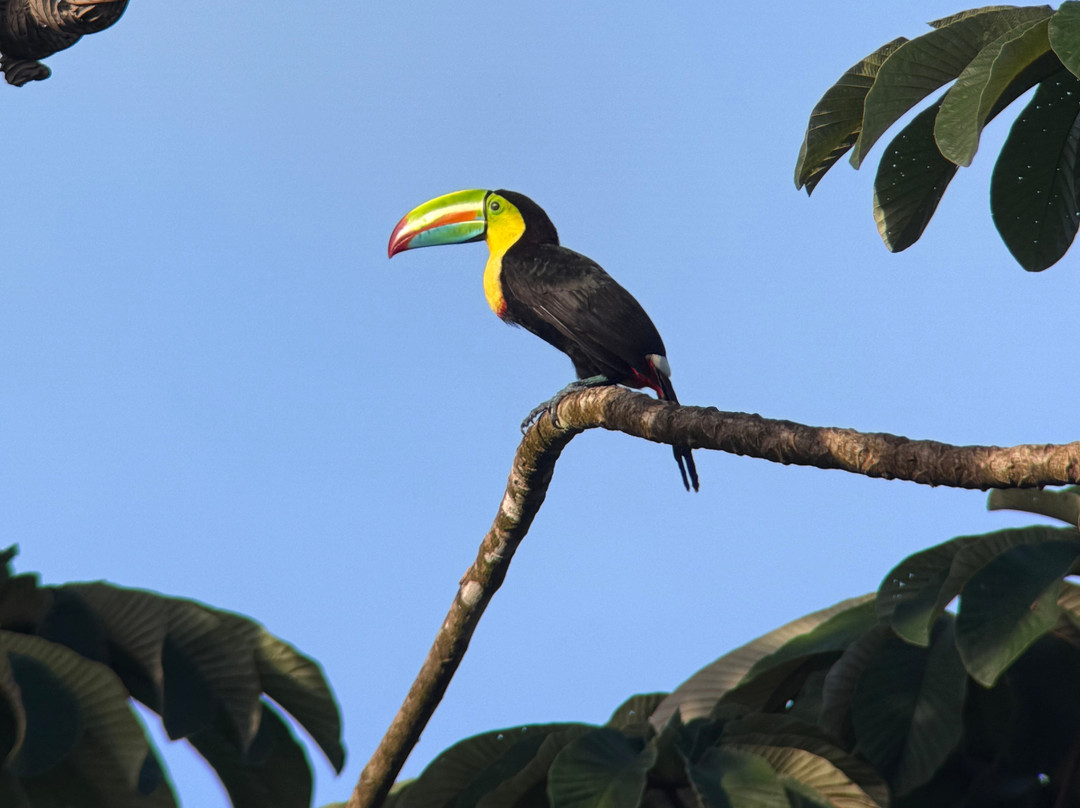 Ale Tours Costa Rica-Santa Barbara必去景点