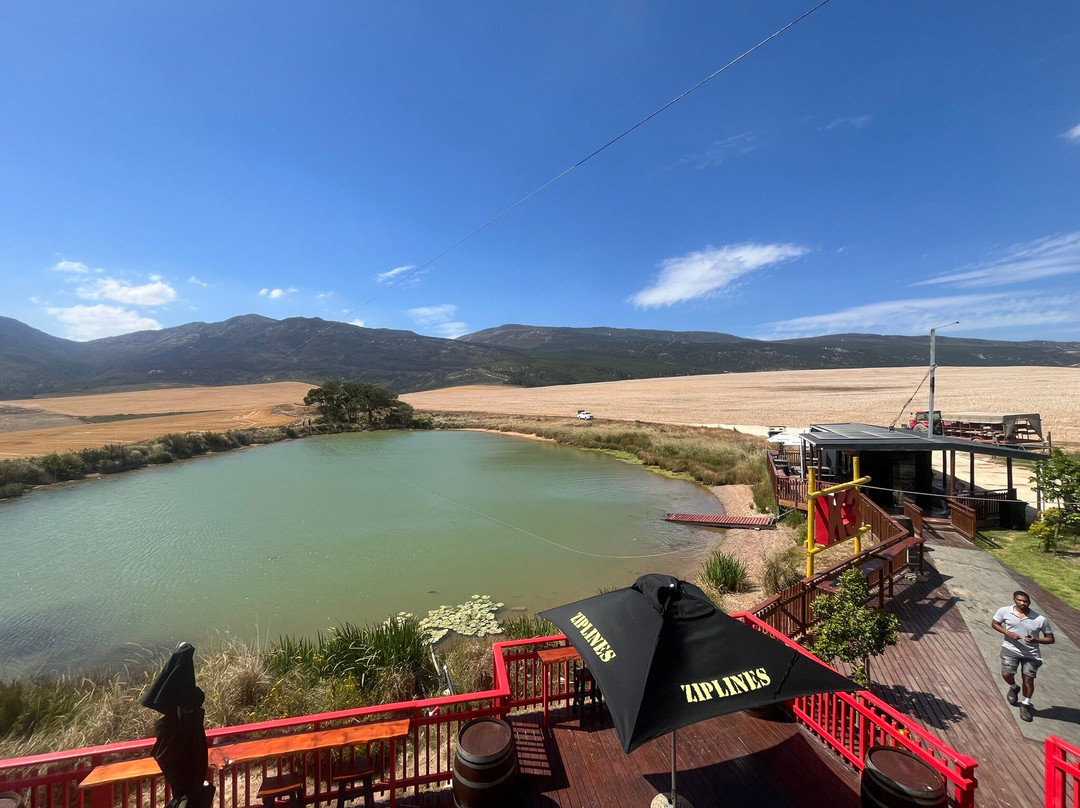 K3 Zipline Sa Forest Adventures-卡里登必去景点