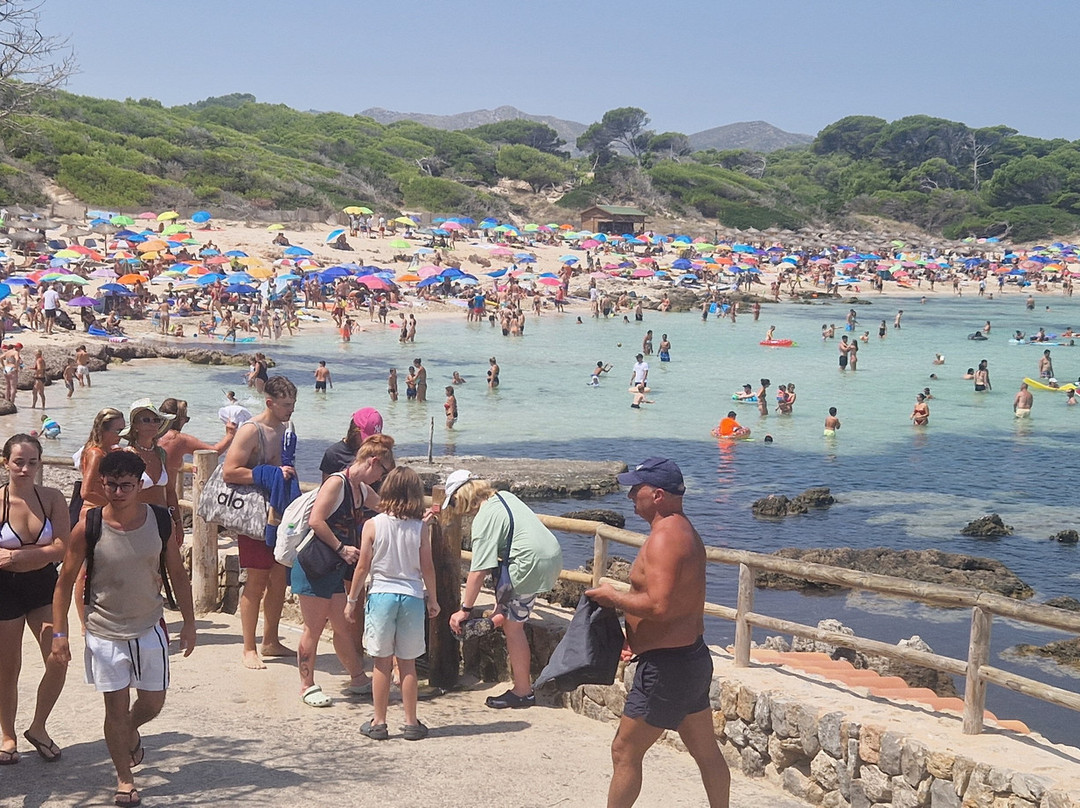 Cala Anguila-马纳科尔必去景点