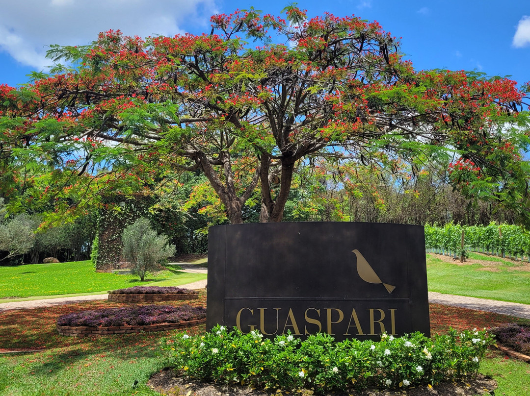 Vinícola Guaspari-Espirito Santo Do Pinhal必去景点