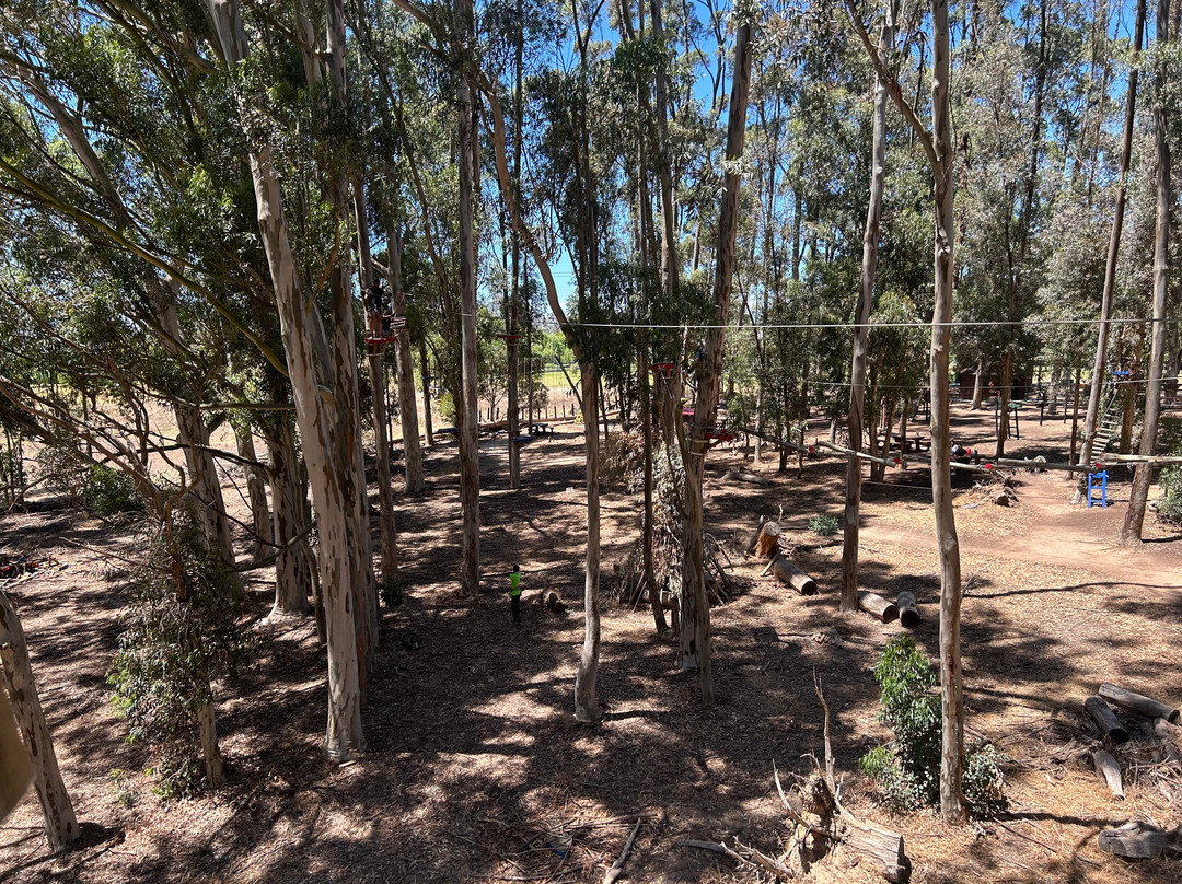 Acrobranch Stellenbosch-斯泰伦博斯必去景点