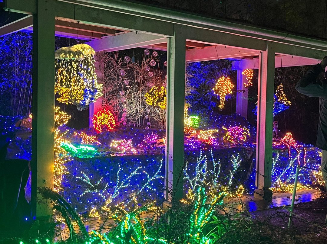 贝尔维尤植物园-贝尔维尤必去景点