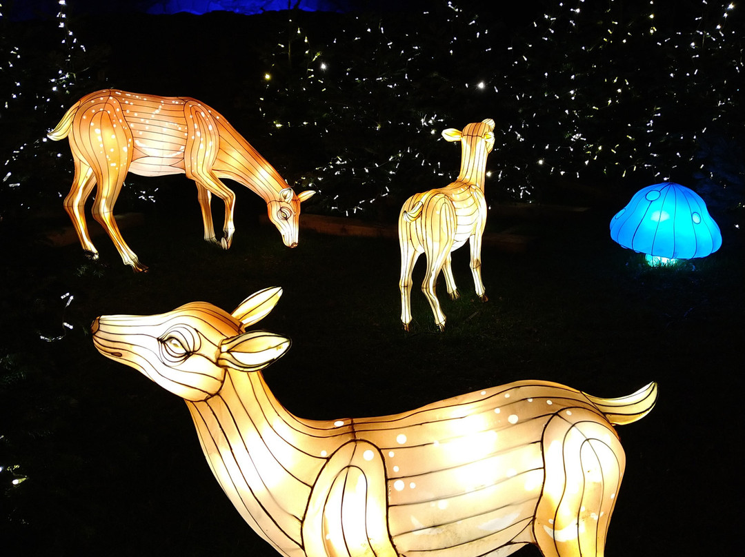 Auckland Palace-Bishop Auckland必去景点