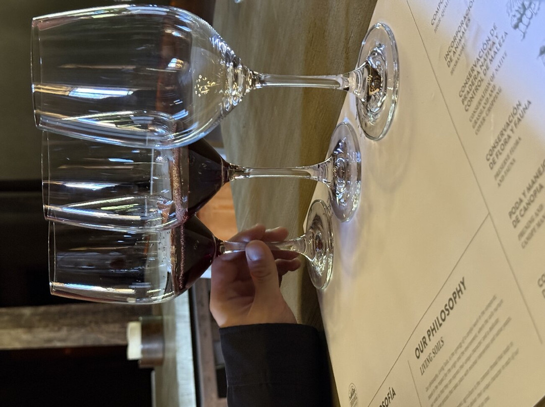 Viña Neyen de Apalta-圣克鲁斯必去景点