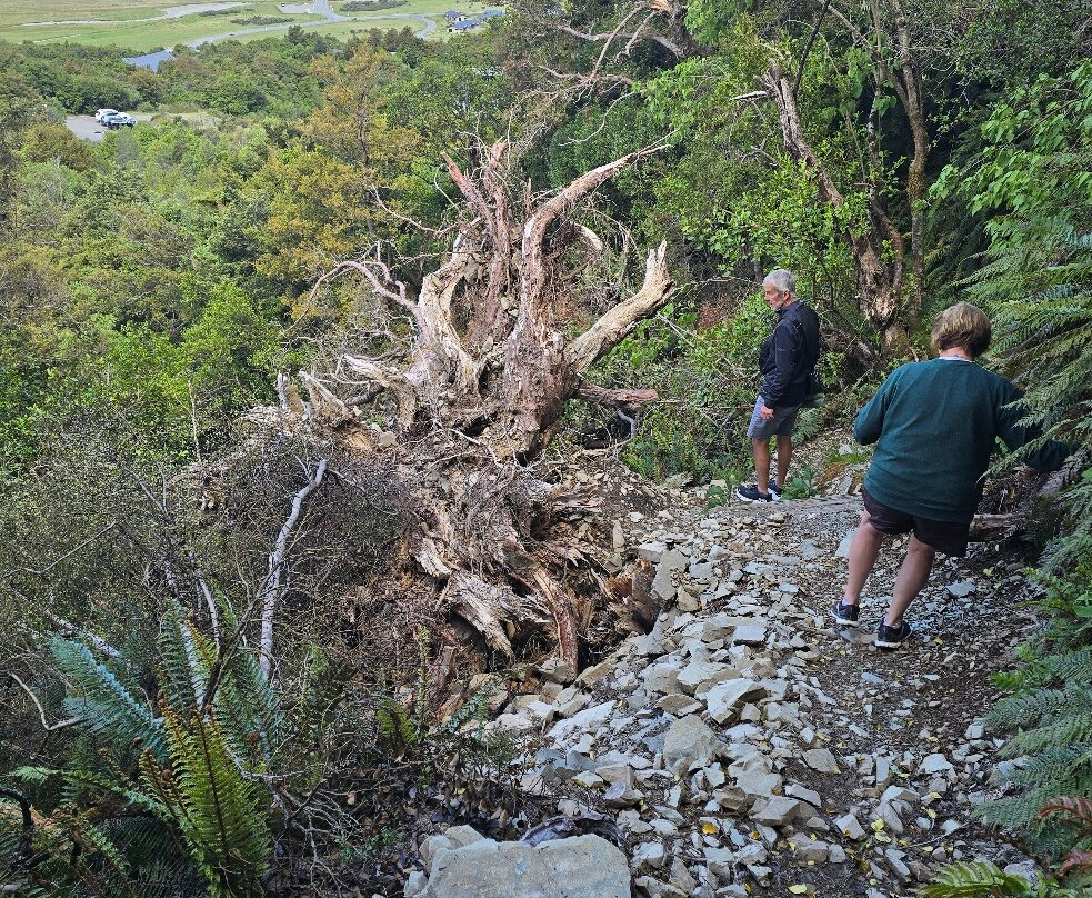 Glencoe Walk-库克山国家公园必去景点