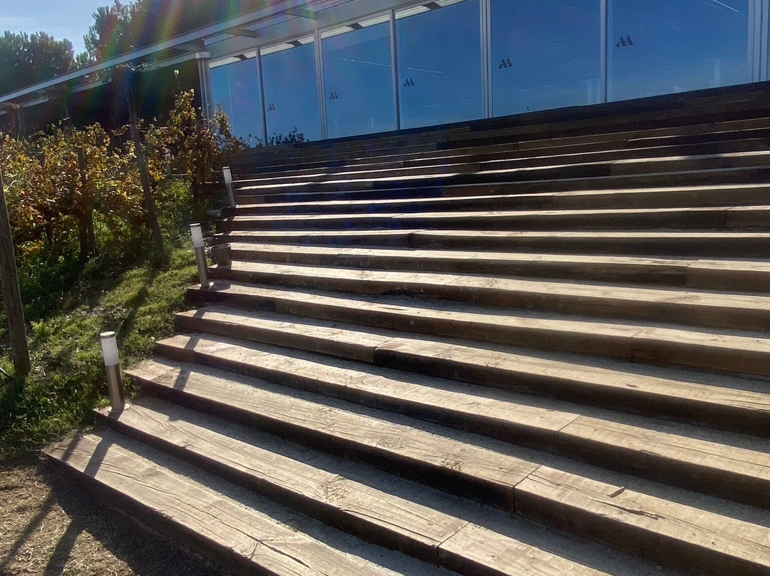 Alta Alella-Alella必去景点