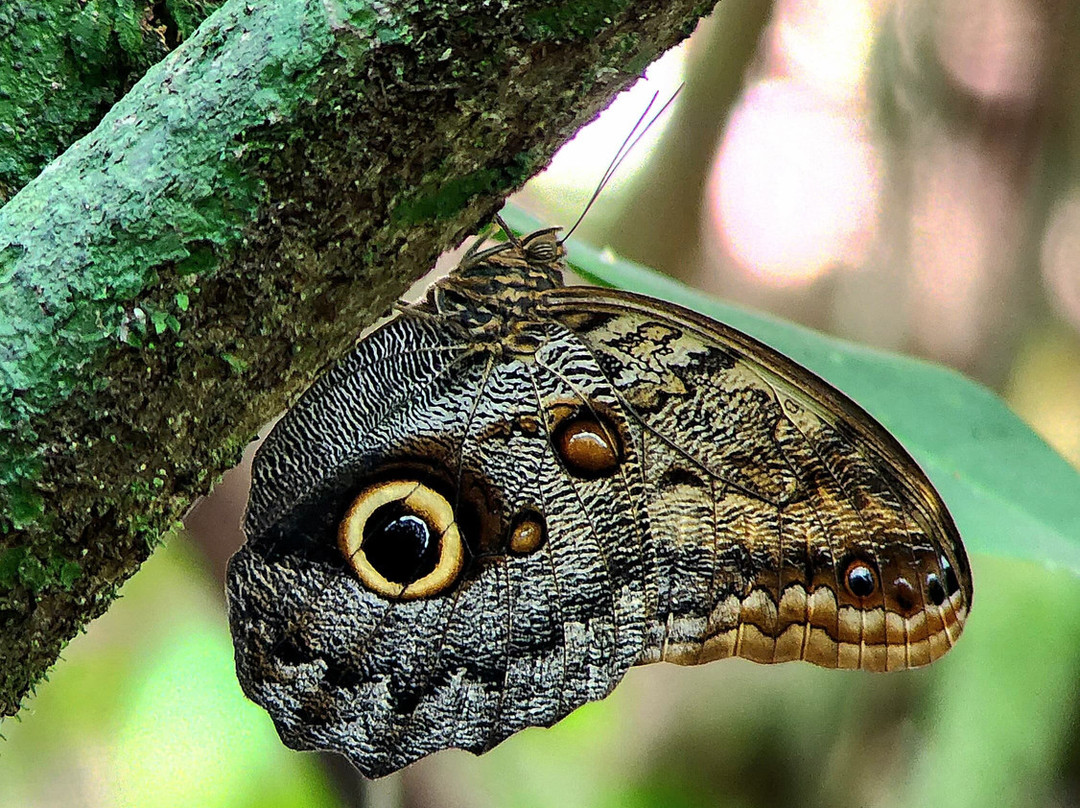 Eco Expeditions CR-希门尼斯港必去景点