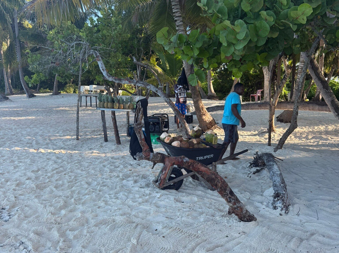 Mariposa Tours-Bayahibe必去景点
