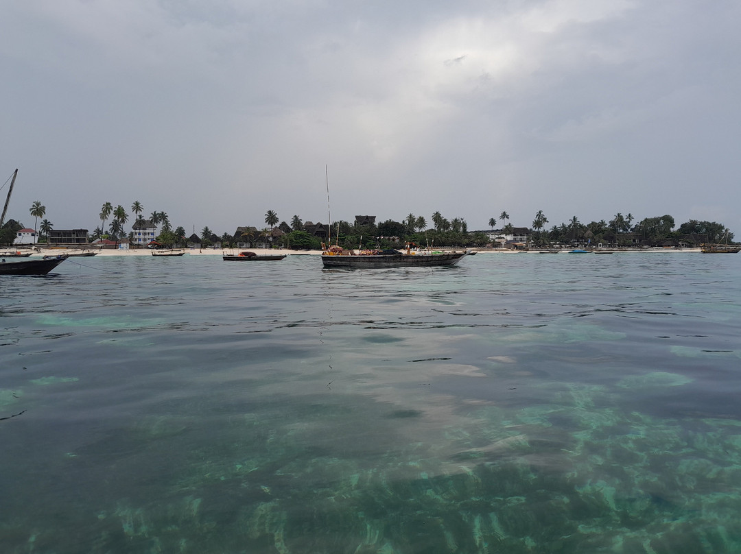 Dive Point Zanzibar-Matemwe必去景点