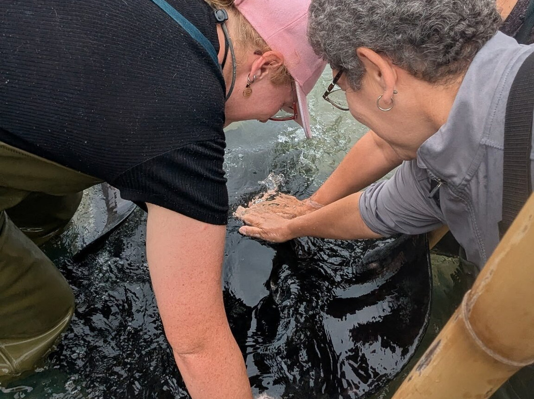 Dive Tatapouri-Gisborne Region必去景点