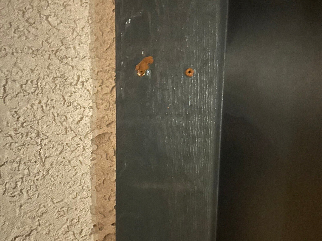 SpringHill Suites by Marriott Jackson主图