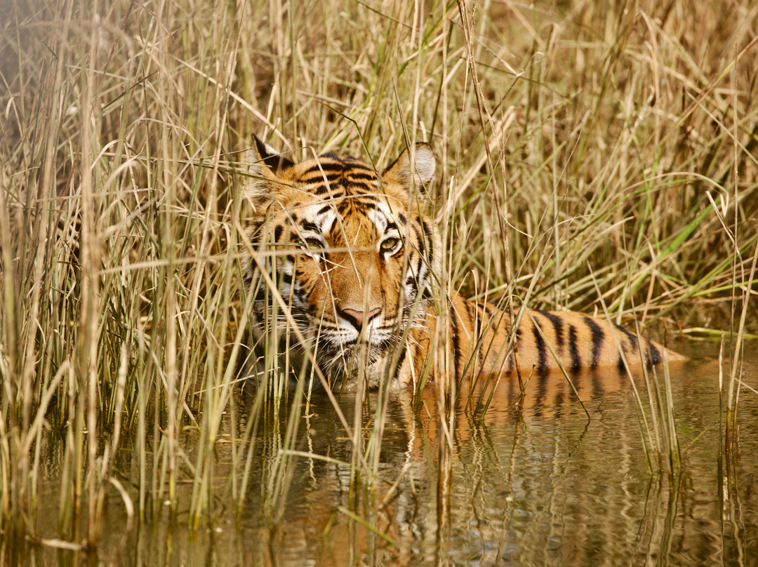 Kanha National Park-Mandla必去景点