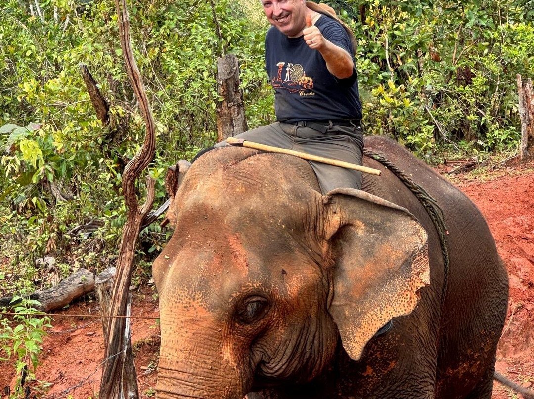 Elephant Special Tours-清迈府必去景点