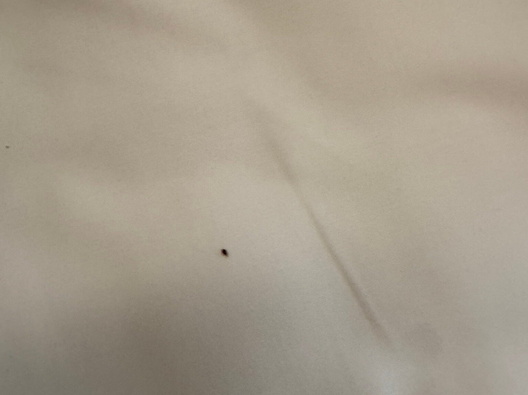 Sunway Hotel Big Box主图