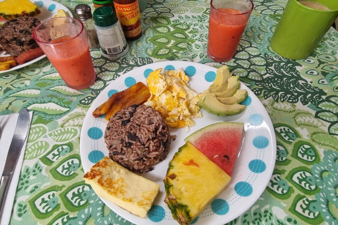 Ten North Tamarindo Beach Hotel主图