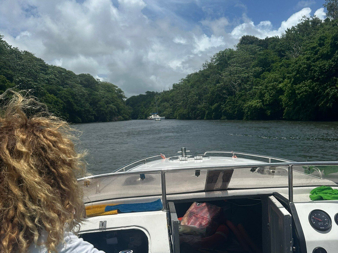 La Criee Ltee boat tours-蓝湾必去景点