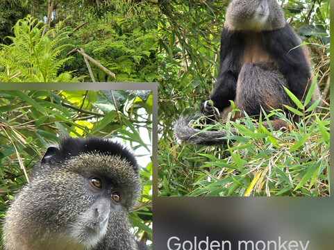 Kazinga Tours - Day Tours-坎帕拉必去景点