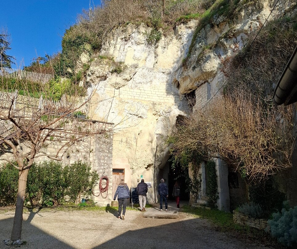 Caves Plouzeau-希农必去景点