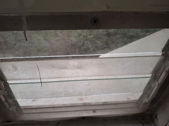 MPT Temple View, Omkareshwar主图