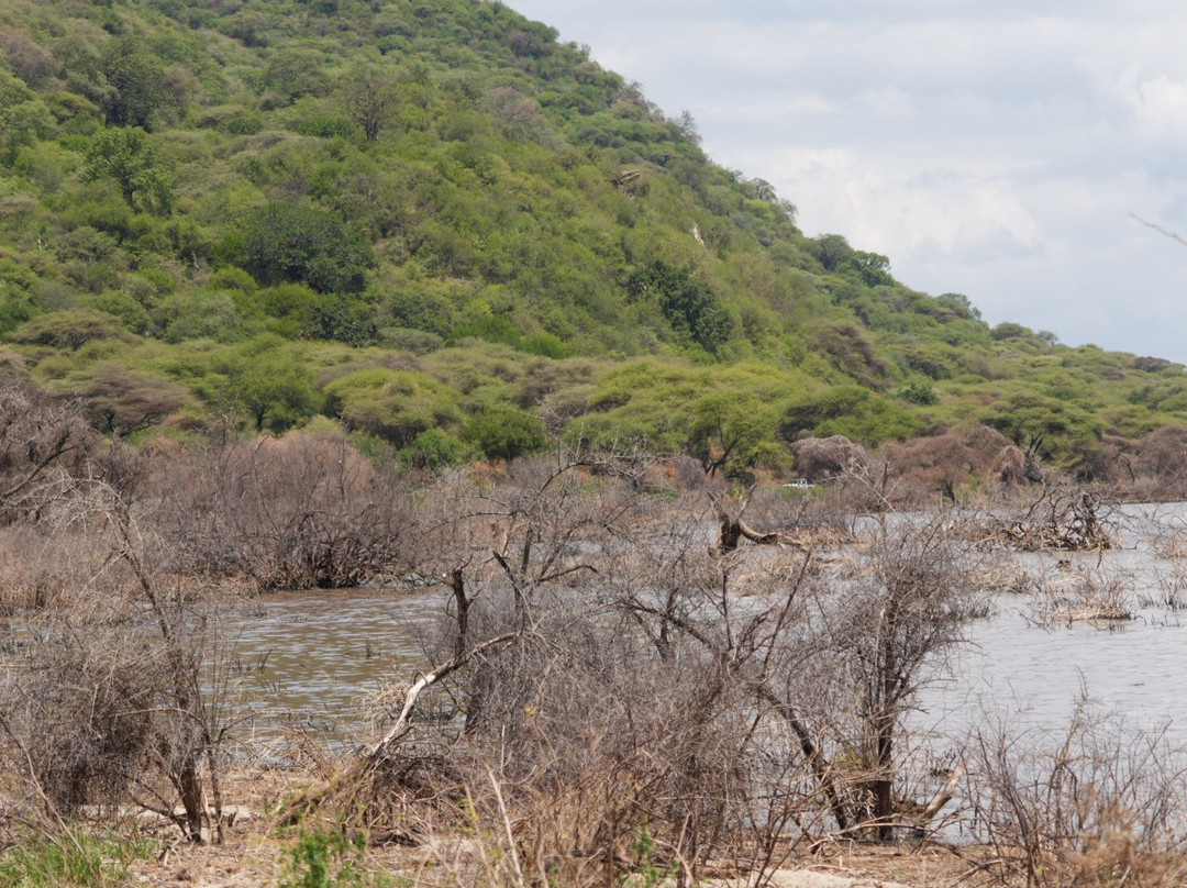 Lake Manyara-Lake Manyara National Park必去景点