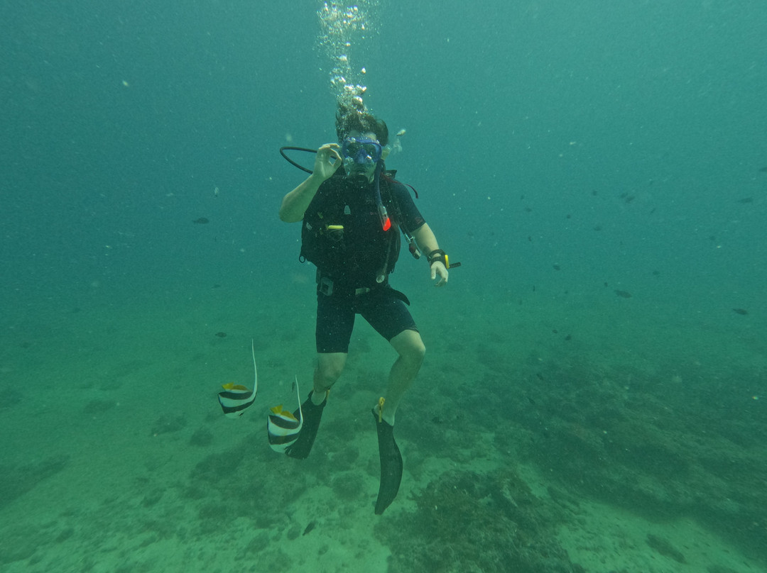 Dive Tribe-Neil Island必去景点