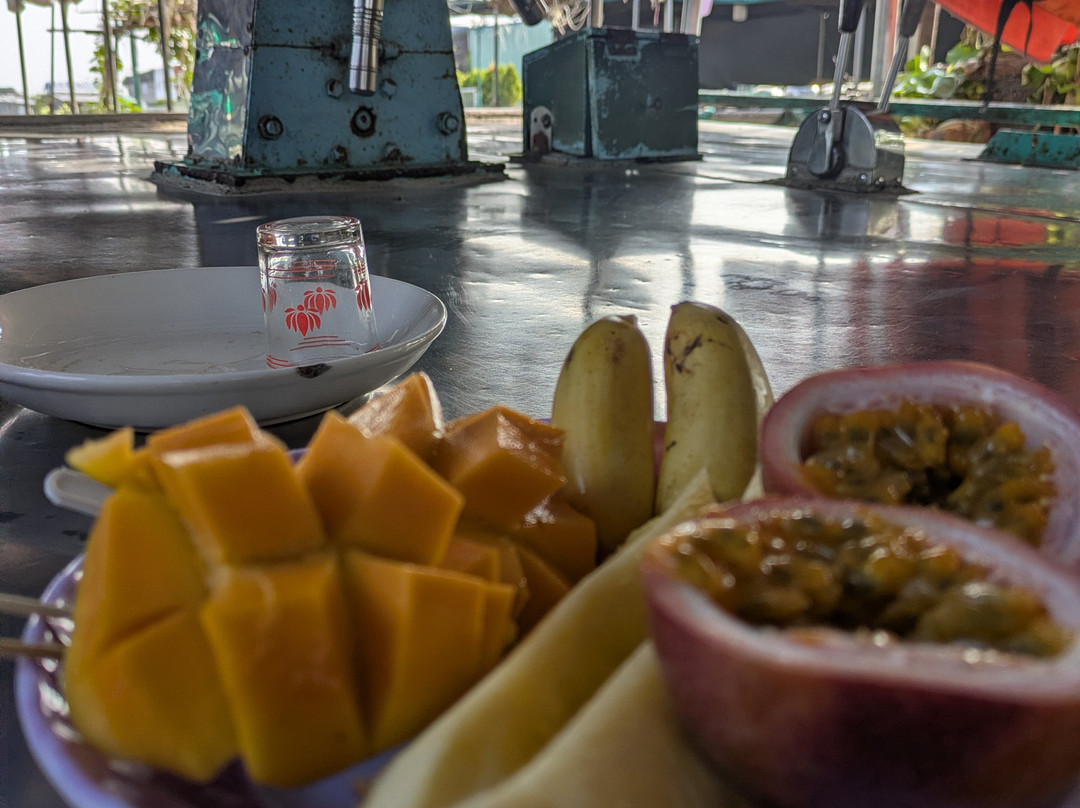 Fabulous Mekong Eco Tours-芹苴必去景点