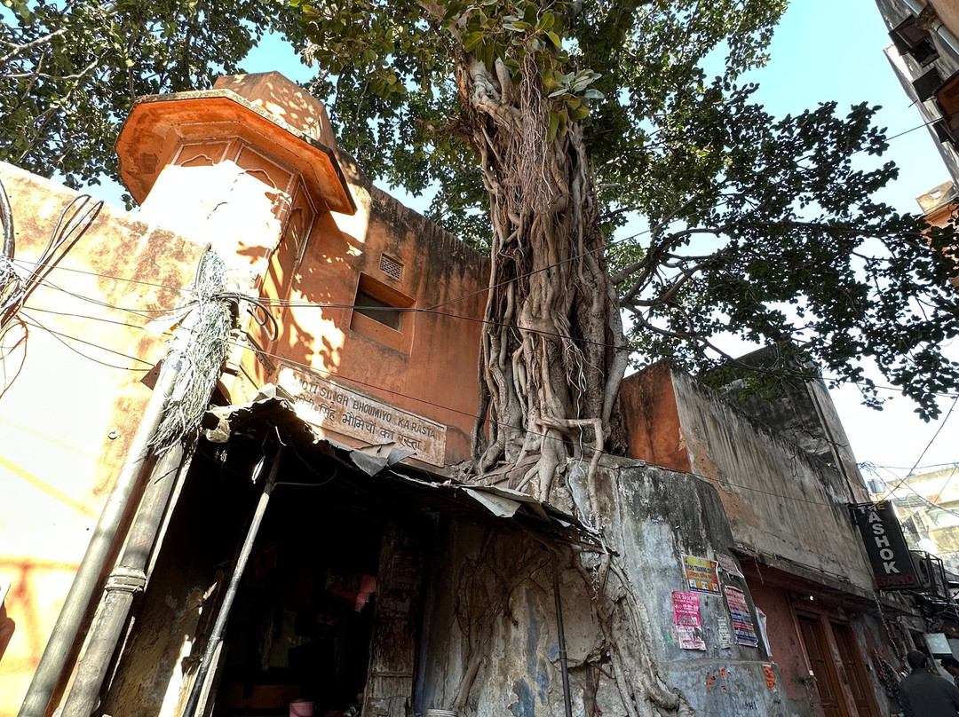 Incredible India by Car-新德里必去景点