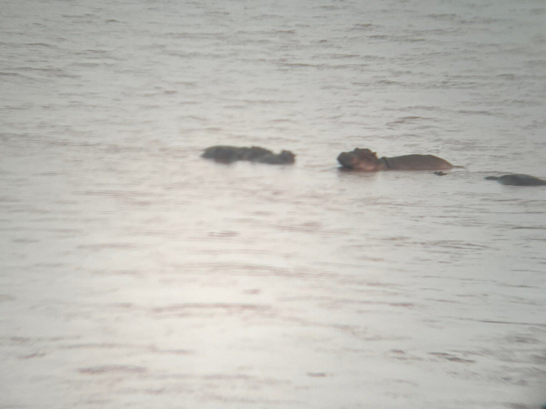 Agenzia Safari Vera Africa-东察沃国家公园必去景点