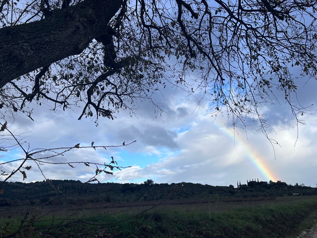 Agriturismo Poggio Diavolino-官方
