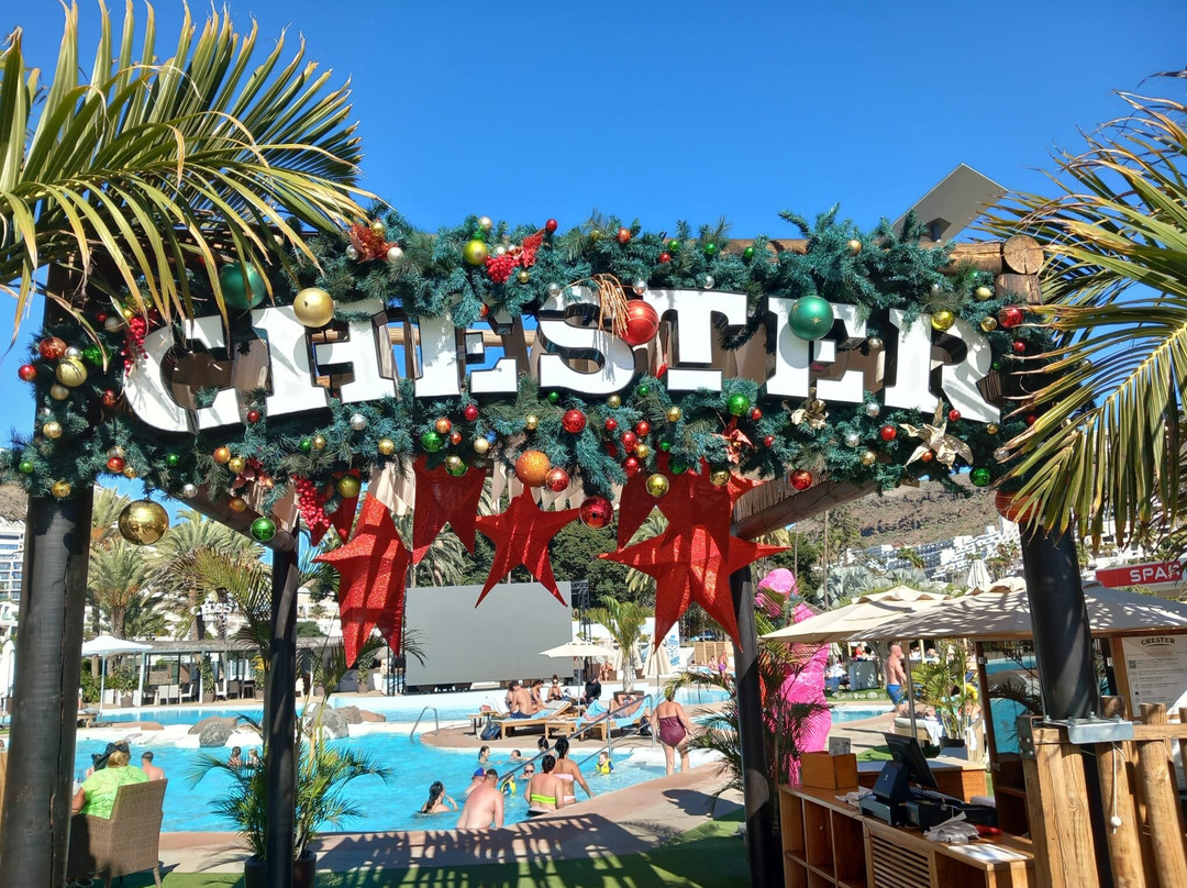 Chester Beach Club-莫干山必去景点