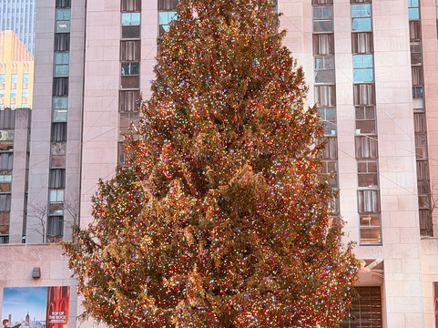The Brooklyn Tour-布鲁克林必去景点