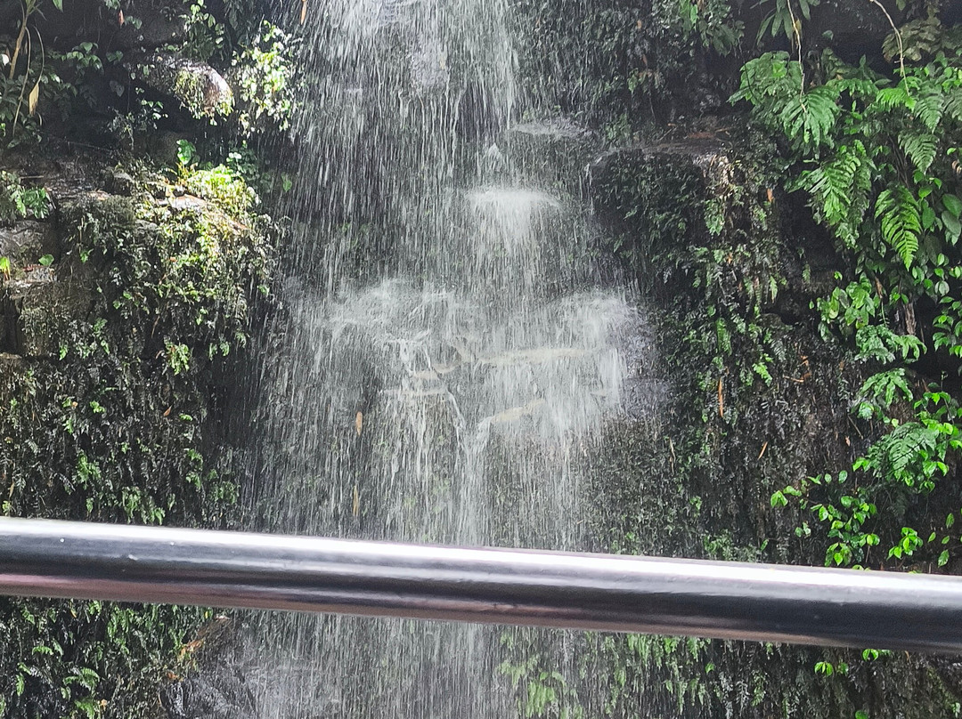 Ilhabela Jeep Tour-伊利亚贝拉必去景点