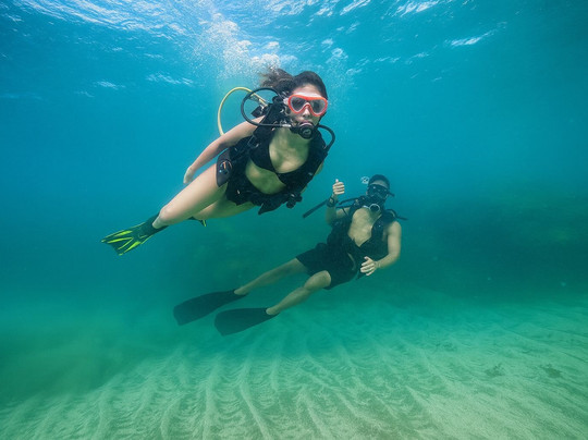 Recife Dive Mergulho-嘎林海斯港必去景点