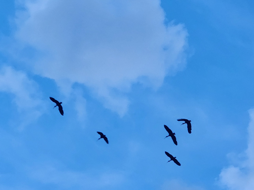 Pousada Pica-Pau主图