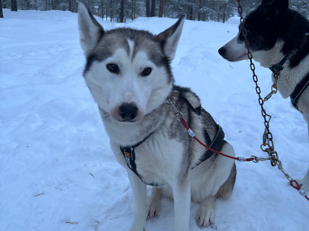Ilonka Farm & Cafe-伊瓦洛必去景点