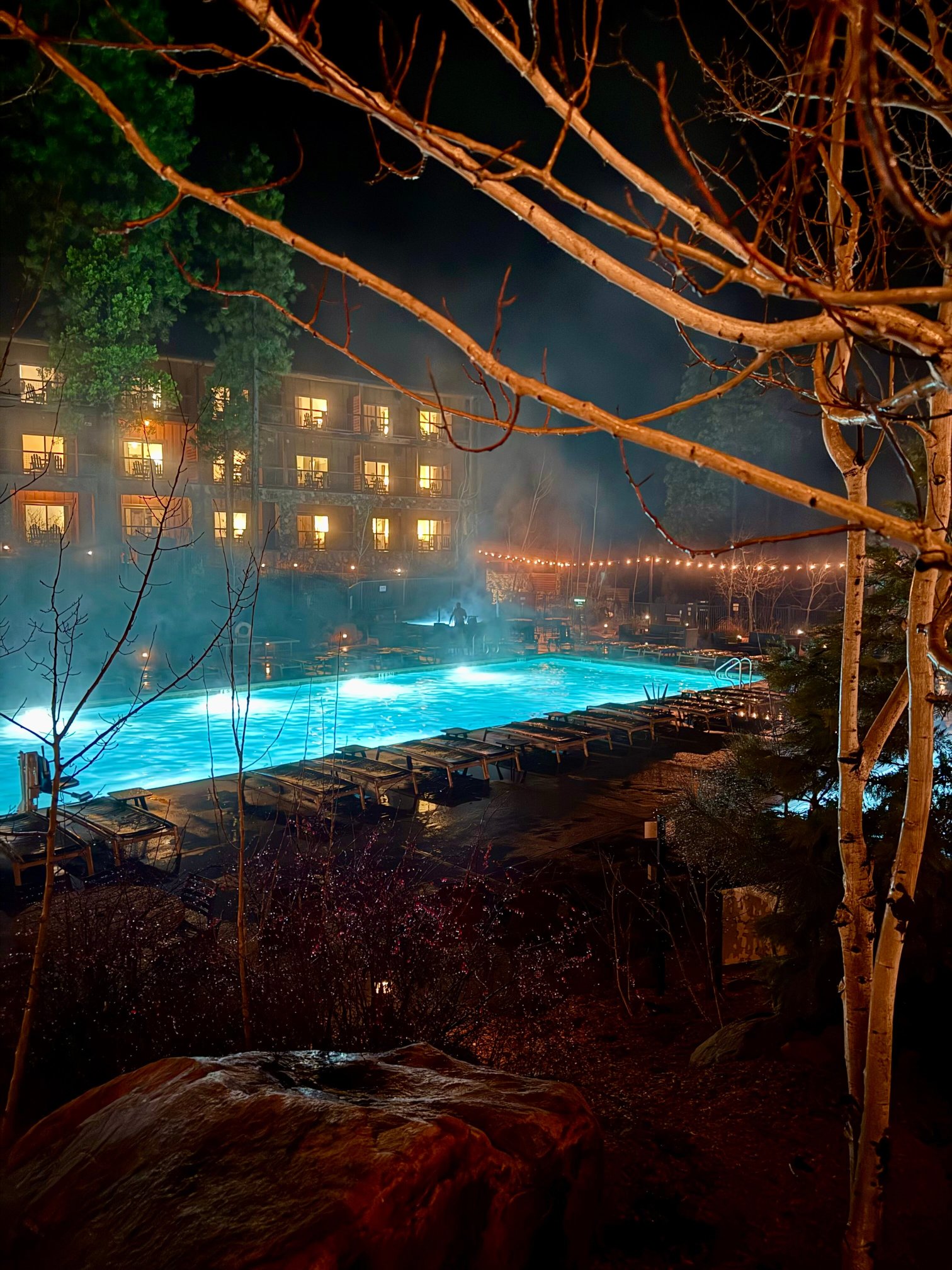 塞米蒂拉什溪山林小屋-泳池