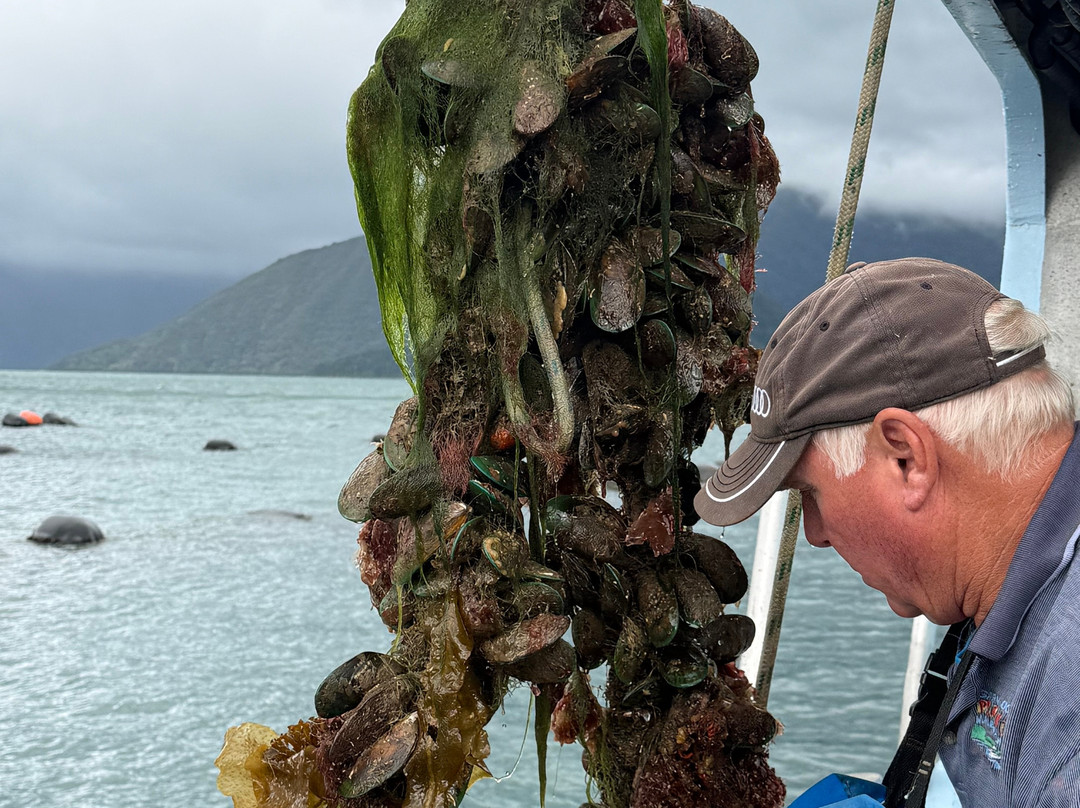 Pelorus Tours - Private Tours-哈夫洛克必去景点