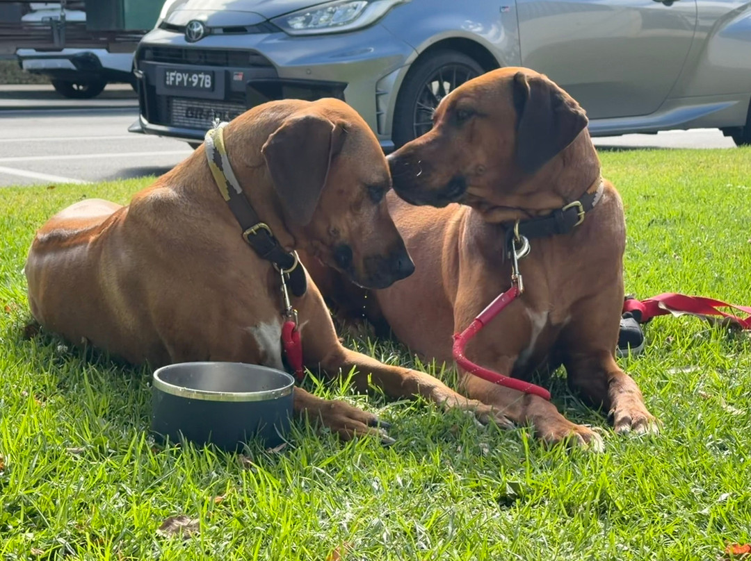 Home Grown Port Fairy