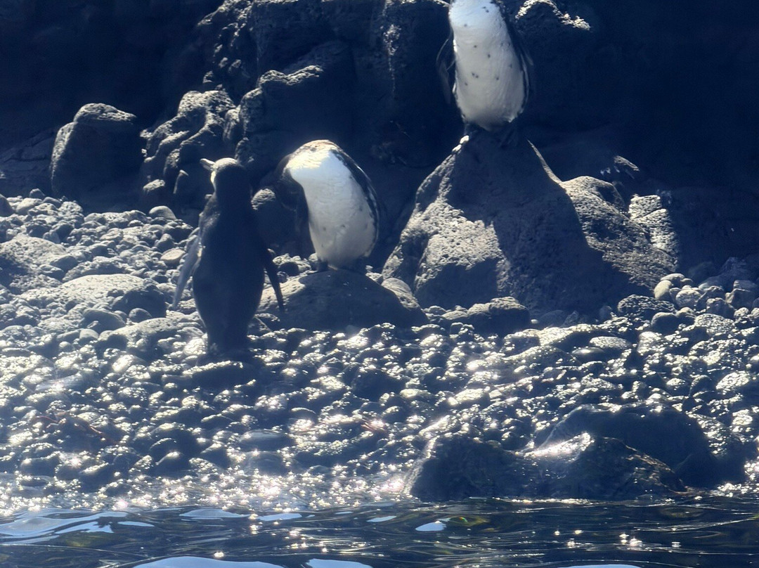 Fragata Yacht-Baltra必去景点