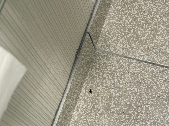 Hampton Inn Cedar City主图