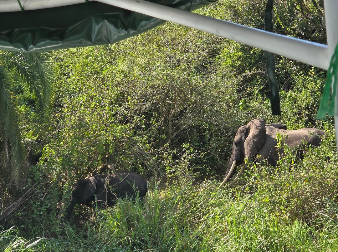 Kazinga Channel-伊丽莎白女王国家公园必去景点