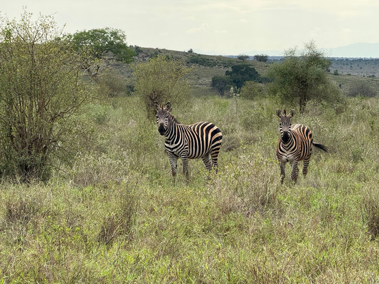 Kenya Dream-瓦塔木必去景点