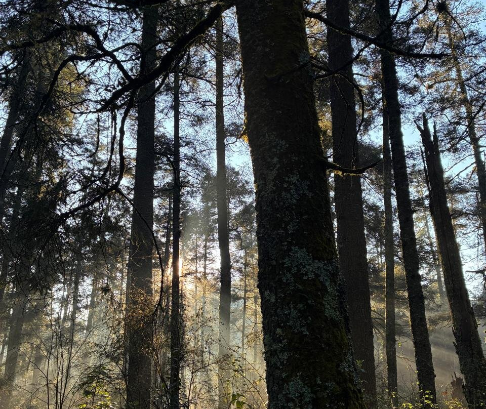 El Chico National Park-Pluma Hidalgo必去景点
