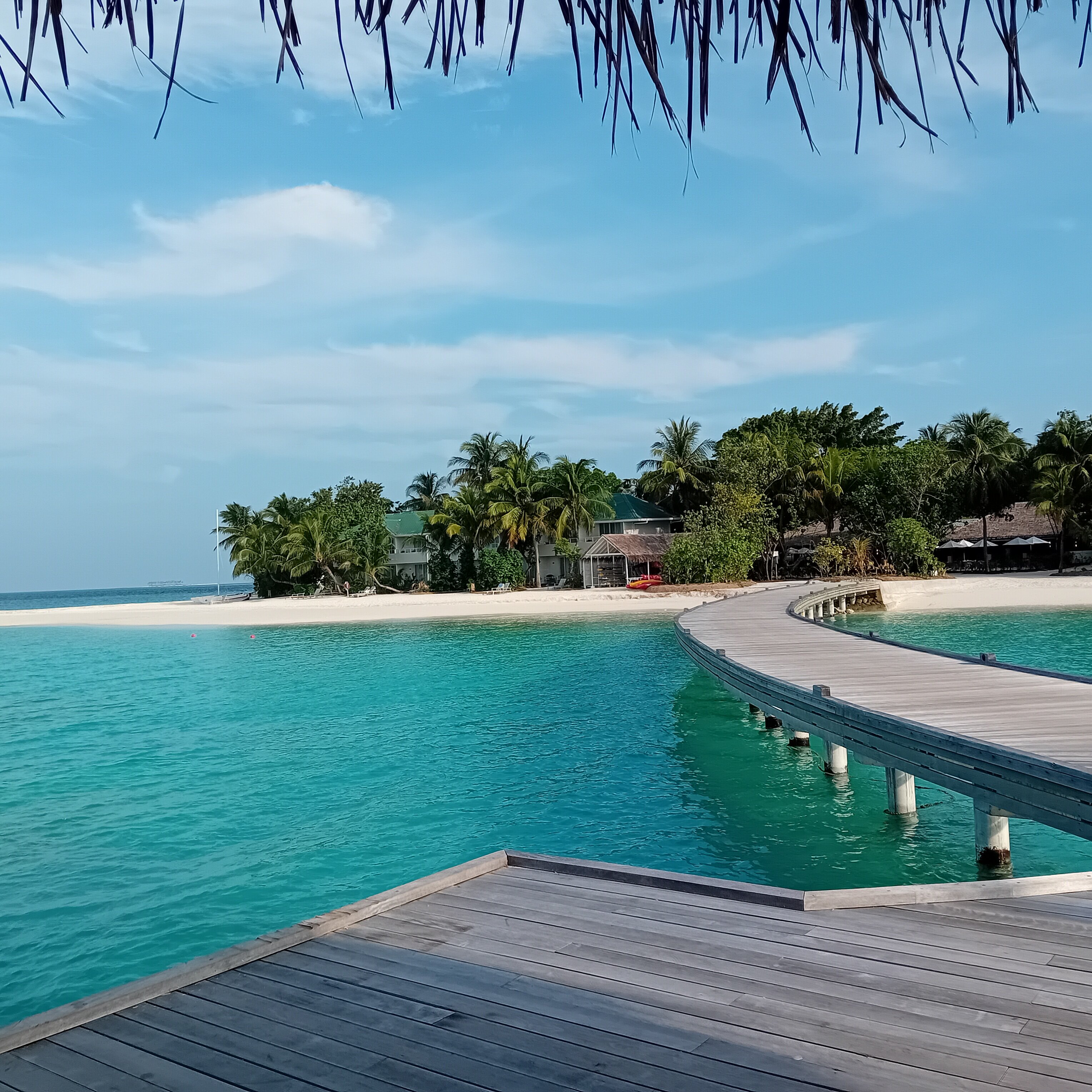 艾雅度岛度假村-官方