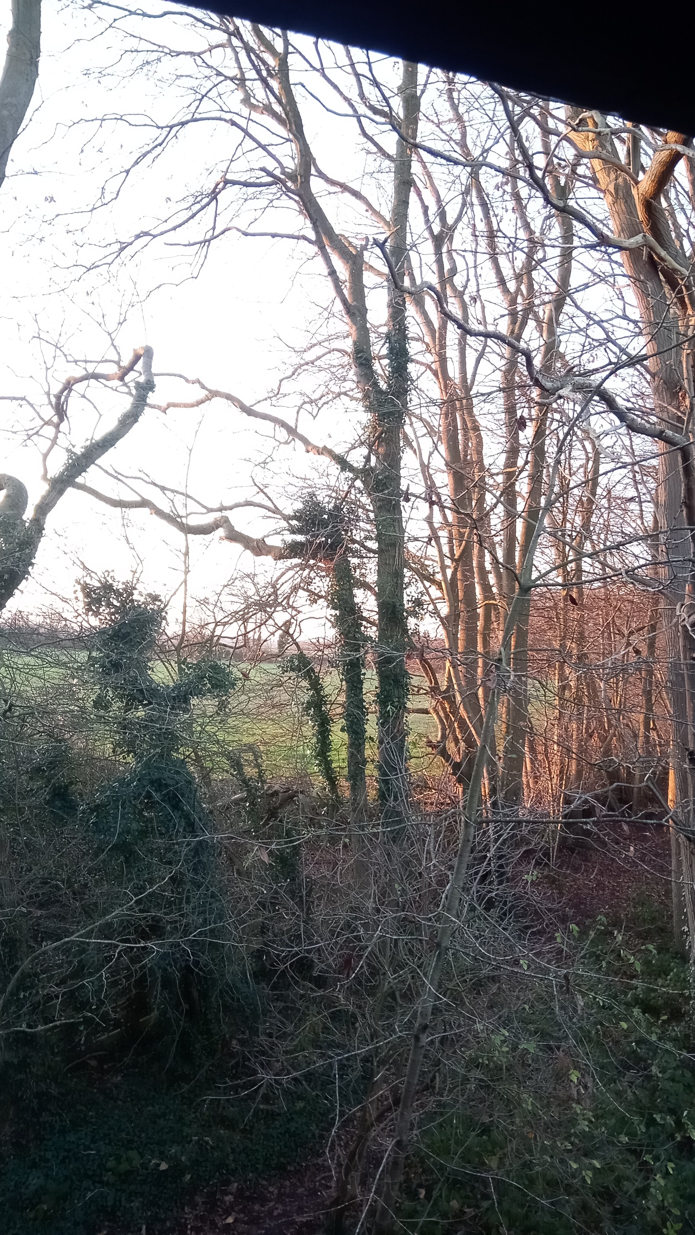 Travelodge Medway M2-酒店景观