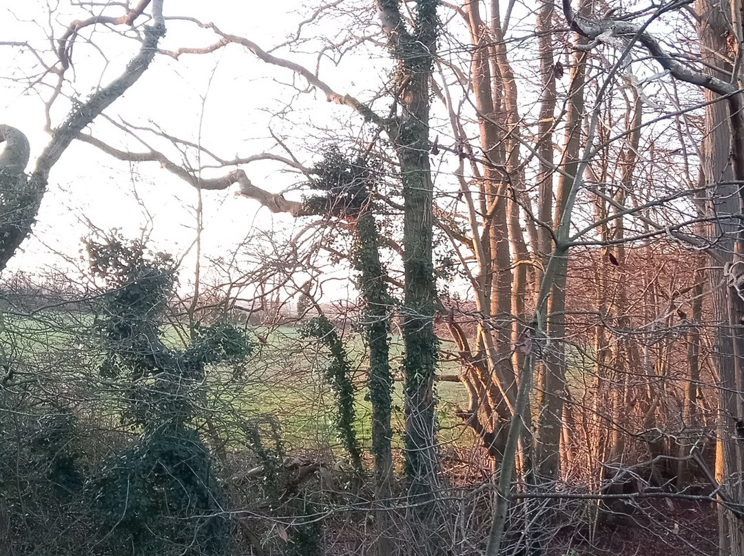 Travelodge Medway M2主图