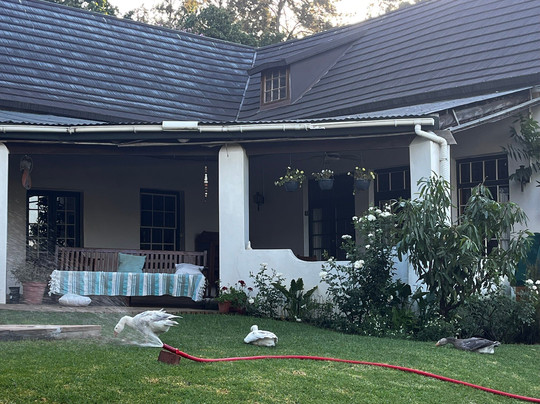 De Leeuwenhof Estate主图