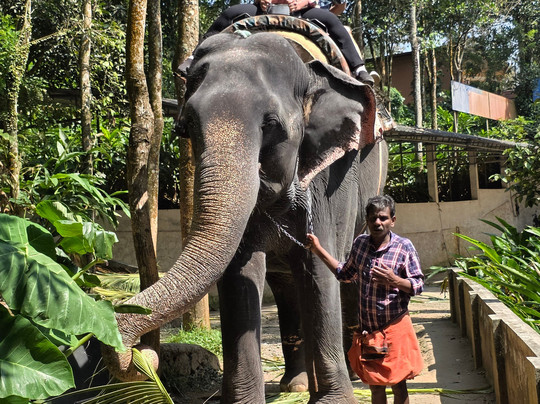 Kalpavanam Elephant Park-帖可迪必去景点