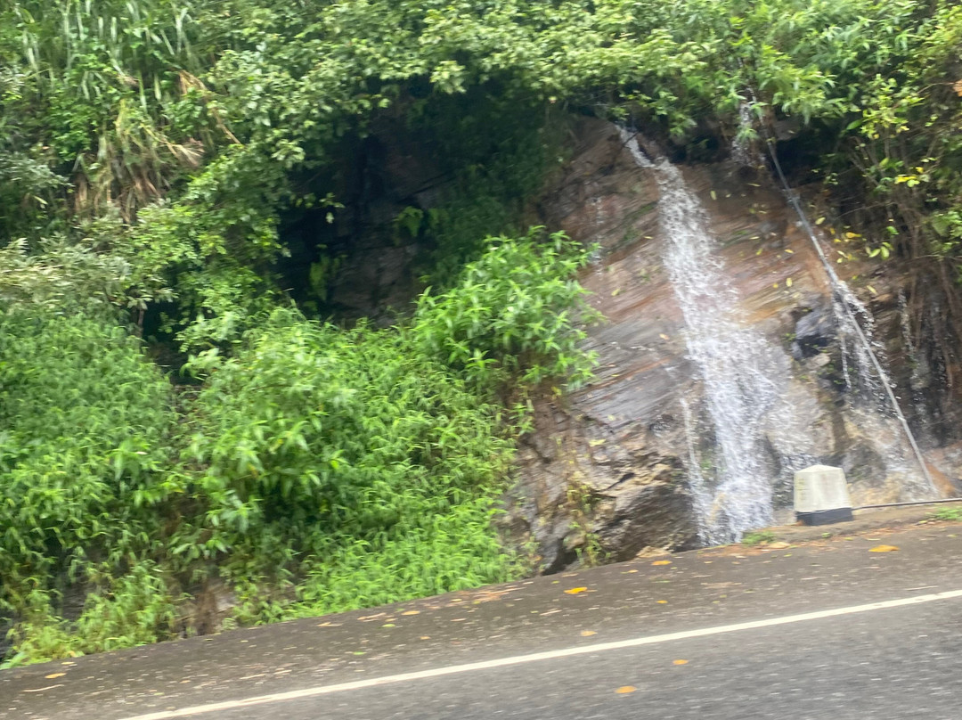 Pick To Me Taxi And Tours-品纳维拉必去景点